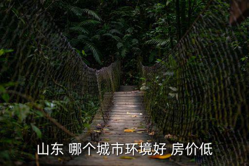 山東 哪個城市環境好 房價低