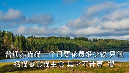 普通養(yǎng)貓貓一個(gè)月要花費(fèi)多少錢 只包括貓零食貓主食 其它不計(jì)算  搜