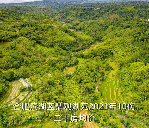 合肥濱湖藍(lán)鼎觀湖苑2021年10傷二手房均價(jià)