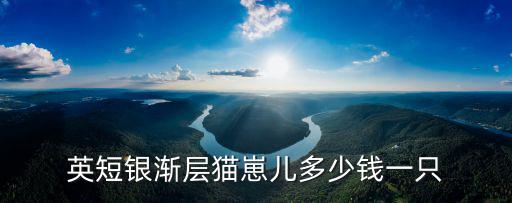 英短銀漸層貓崽兒多少錢一只