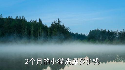 2個月的小貓洗澡多少錢