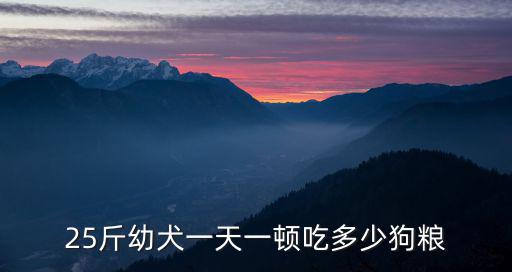 25斤幼犬一天一頓吃多少狗糧