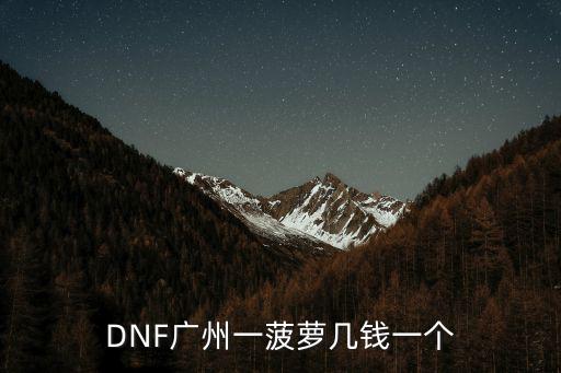 DNF廣州一菠蘿幾錢一個
