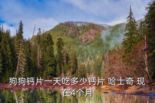 狗狗鈣片一天吃多少鈣片 哈士奇 現在4個月