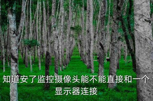 監(jiān)控怎么鏈接顯示器嗎，知道安了監(jiān)控攝像頭能不能直接和一個顯示器連接