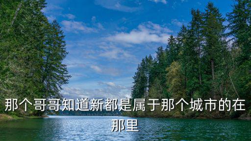 那個(gè)哥哥知道新都是屬于那個(gè)城市的在那里