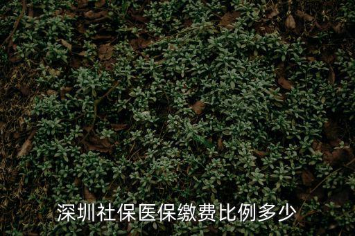 2019深圳社保繳費(fèi)比例最新，2019深圳社保繳交比例