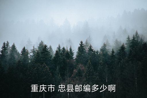 重慶市忠縣磨子小學編號，重慶忠縣濱江路有哪些學校