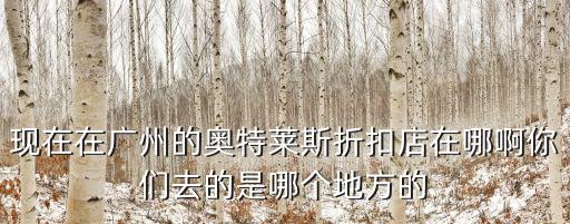 現(xiàn)在在廣州的奧特萊斯折扣店在哪啊你們?nèi)サ氖悄膫€地方的