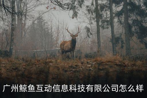 廣州鯨魚互動(dòng)信息科技有限公司怎么樣