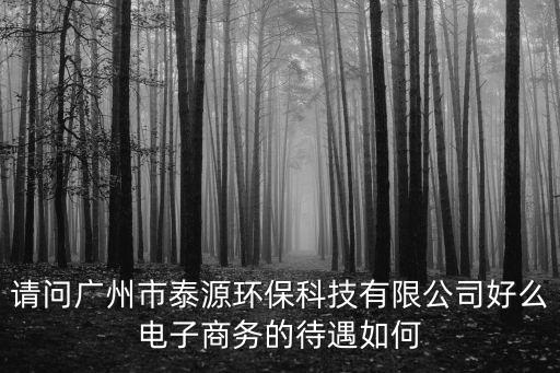 請問廣州市泰源環保科技有限公司好么電子商務的待遇如何