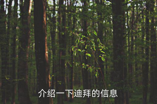成都市委書記訪問迪拜，成都市 金牛區(qū)區(qū)委書記楊興林是哪兒的人