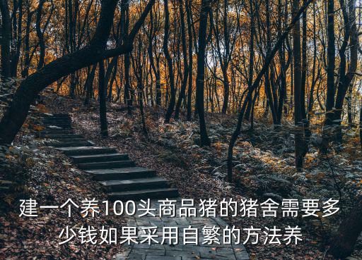 建一個養100頭商品豬的豬舍需要多少錢如果采用自繁的方法養