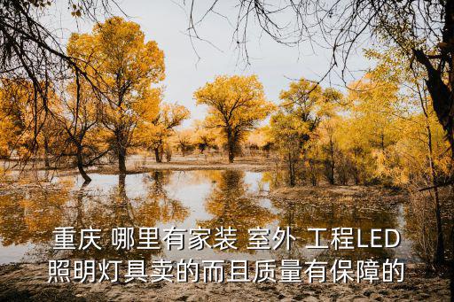 重慶 哪里有家裝 室外 工程LED照明燈具賣的而且質(zhì)量有保障的