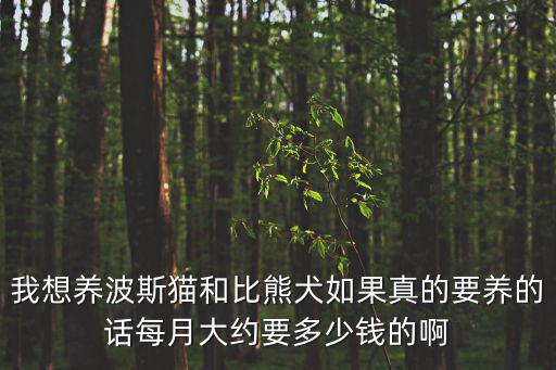 我想養波斯貓和比熊犬如果真的要養的話每月大約要多少錢的啊