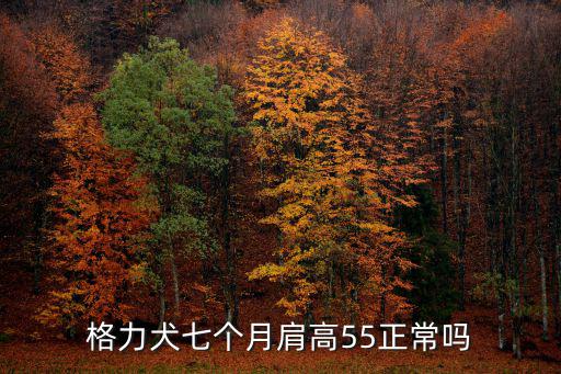 格力犬七個月肩高55正常嗎