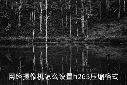 監(jiān)控265怎么修改265壓縮格式，怎么轉(zhuǎn)換sv5格式監(jiān)控錄像視頻
