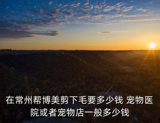 在常州幫博美剪下毛要多少錢 寵物醫院或者寵物店一般多少錢