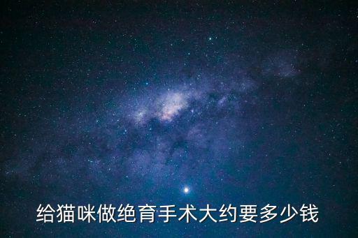 給貓咪做絕育手術大約要多少錢