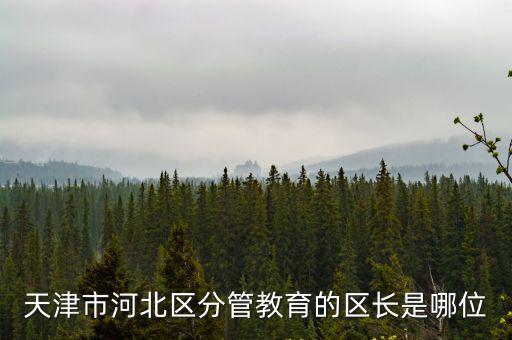 天津市河北區分管教育的區長是哪位