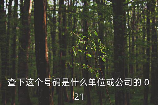 查下這個號碼是什么單位或公司的 021