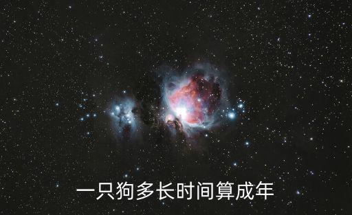 一只狗多長(zhǎng)時(shí)間算成年