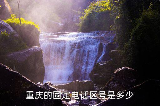 重慶上門收狗電話是多少，重慶市九龍坡謝家灣上門收快遞的電話是多少
