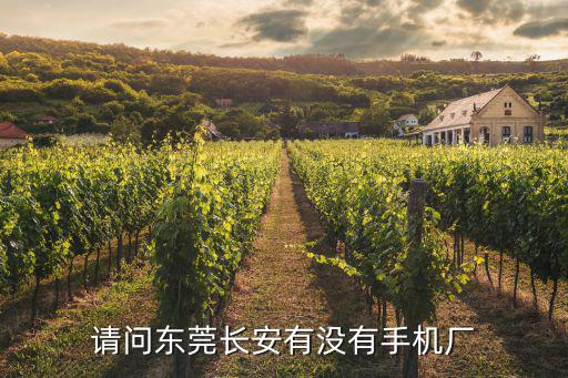 請問東莞長安有沒有手機廠