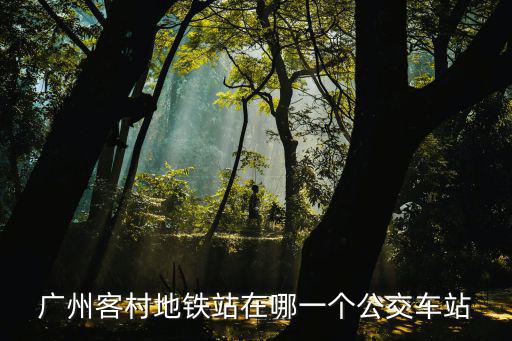 廣州客村地鐵站在哪一個公交車站