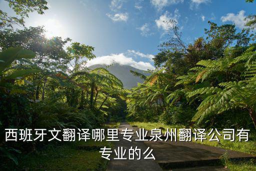 西班牙文翻譯哪里專(zhuān)業(yè)泉州翻譯公司有專(zhuān)業(yè)的么