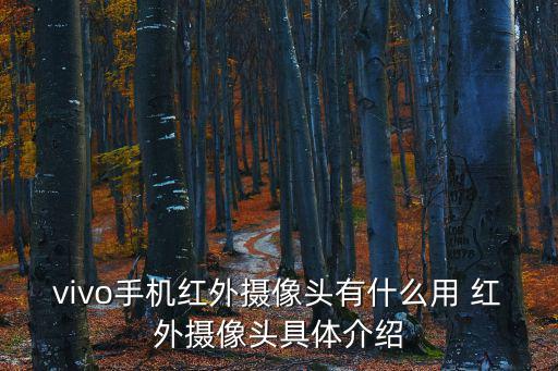 vivo手機紅外攝像頭有什么用 紅外攝像頭具體介紹