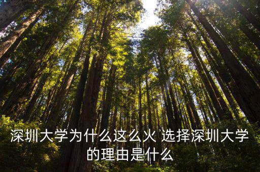 深圳大學為什么叫，深圳大學的全名是什么屬于幾本