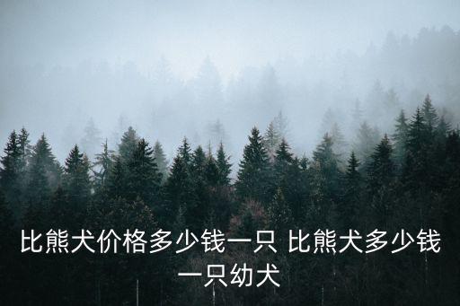比熊犬價(jià)格多少錢一只 比熊犬多少錢一只幼犬
