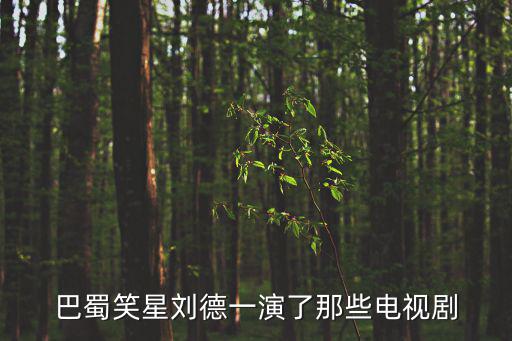巴蜀笑星劉德一演了那些電視劇