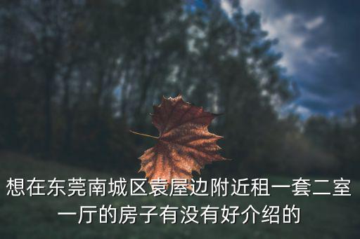 想在東莞南城區(qū)袁屋邊附近租一套二室一廳的房子有沒有好介紹的