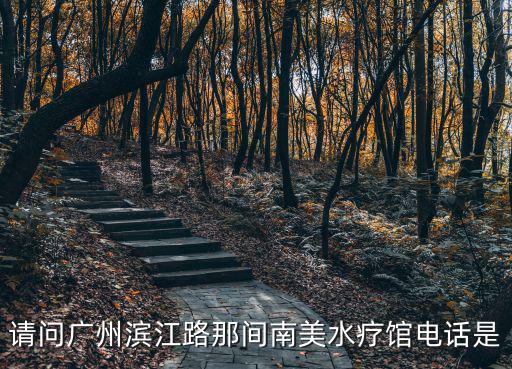 請(qǐng)問(wèn)廣州濱江路那間南美水療館電話是