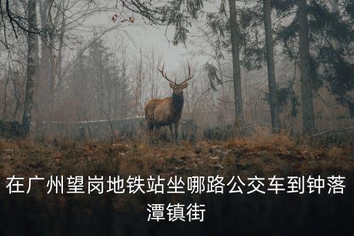 在廣州望崗地鐵站坐哪路公交車到鐘落潭鎮街