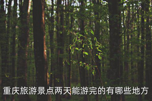重慶市游玩兩天，重慶旅游景點(diǎn)兩天能游完的有哪些地方