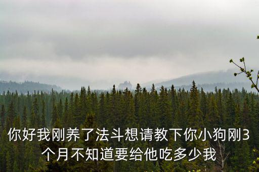你好我剛養(yǎng)了法斗想請教下你小狗剛3個月不知道要給他吃多少我