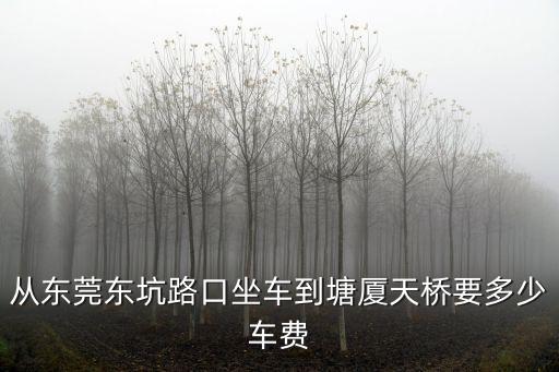 東莞到塘廈車費多少，東莞到塘廈需要多少錢