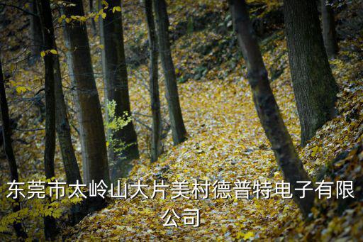 東莞市太嶺山大片美村德普特電子有限公司