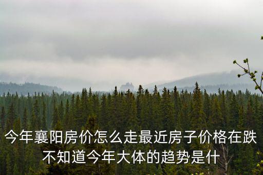 明年襄陽房價走勢如何，襄樊房價未來三年可能漲到多少一平米啊現在最貴的是多少啊  搜