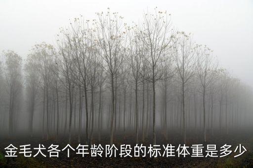 金毛犬各個(gè)年齡階段的標(biāo)準(zhǔn)體重是多少