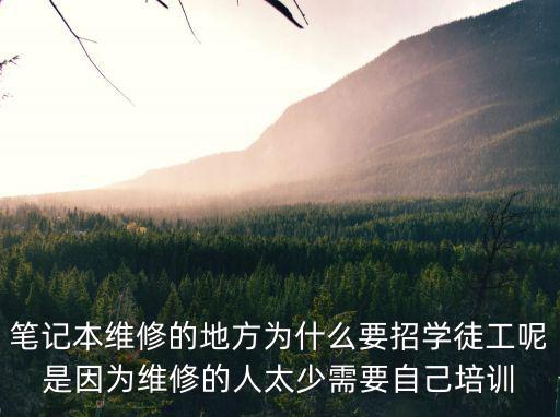 筆記本維修的地方為什么要招學(xué)徒工呢是因為維修的人太少需要自己培訓(xùn)
