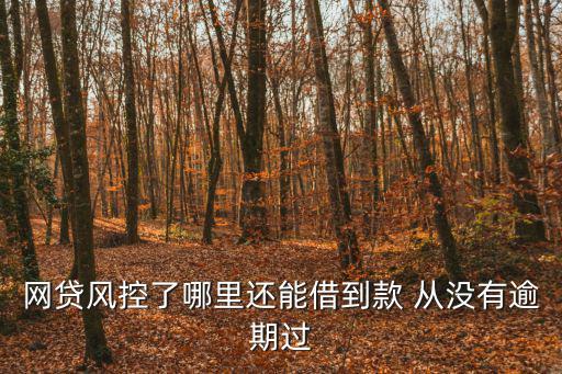 被風控了也能通過審核的網(wǎng)貸，網(wǎng)貸風控了還能下款的口了