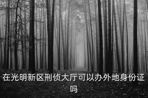 在光明新區(qū)刑偵大廳可以辦外地身份證嗎