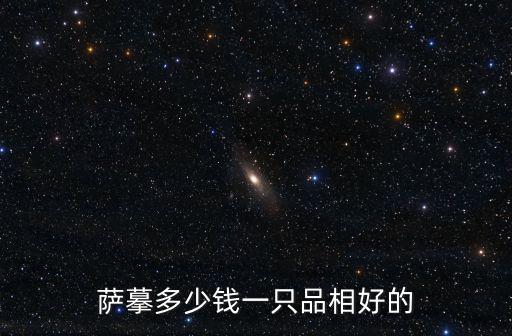 薩路基獵犬多少錢一只，薩摹多少錢一只品相好的