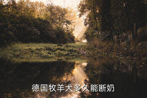 德國牧羊犬多久能斷奶