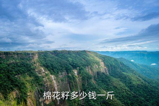 棉花籽多少錢一斤