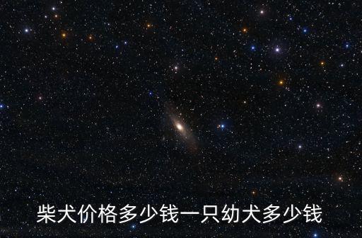 柴犬價格多少錢一只幼犬多少錢
